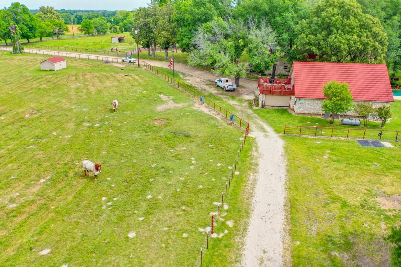 Dog-Friendly Wills Point Home With Grill On 10 Acres Canton Exterior foto